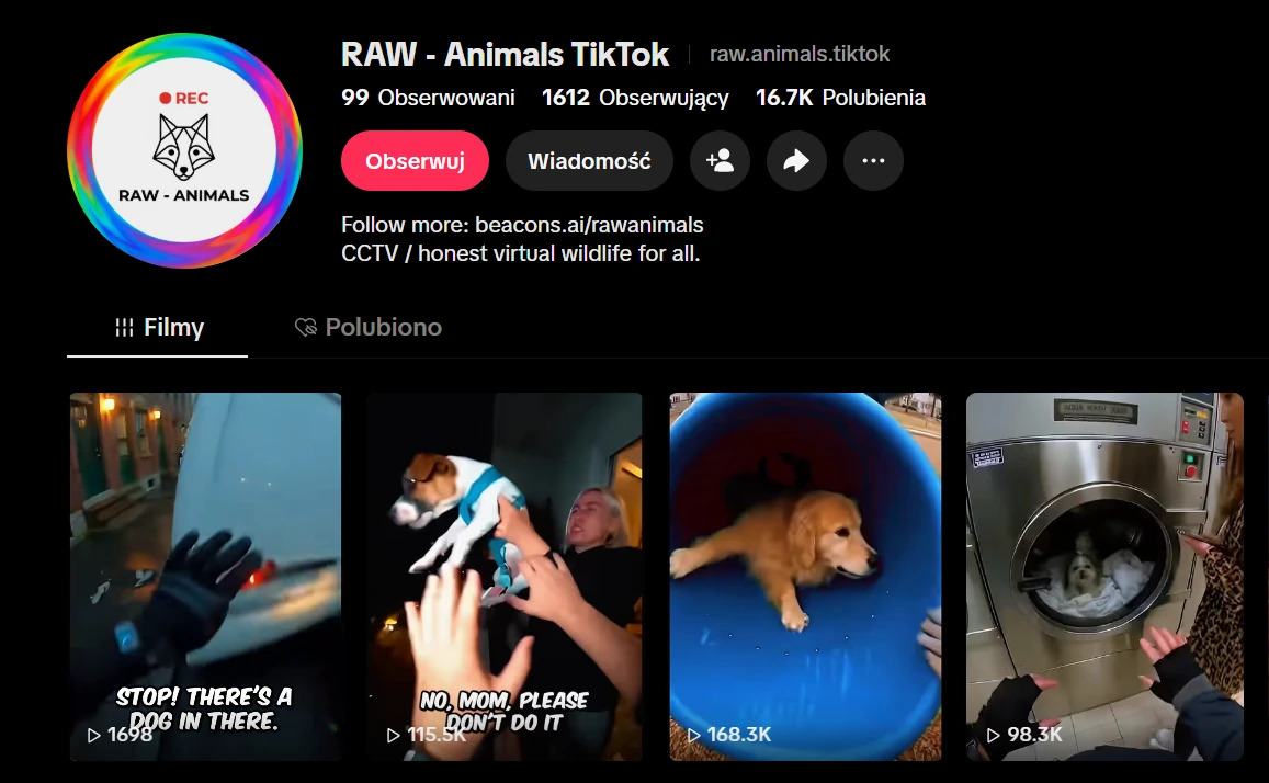 Profil projektu Raw Animals na TikToku